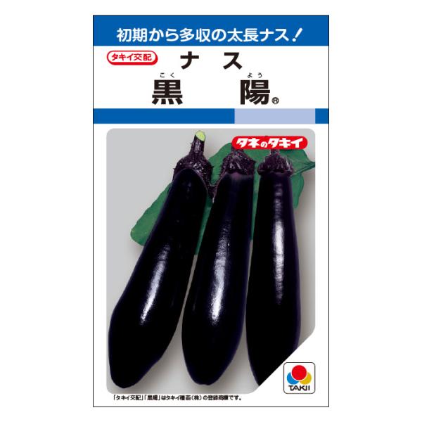 タキイ種苗 ナス 種 黒陽 DF(小袋）