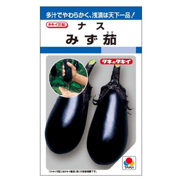 タキイ種苗 ナス 種 みず茄子 DF(小袋）