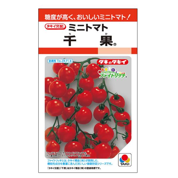タキイ種苗 ミニトマト 種 千果（ちか） ＲF(小袋）