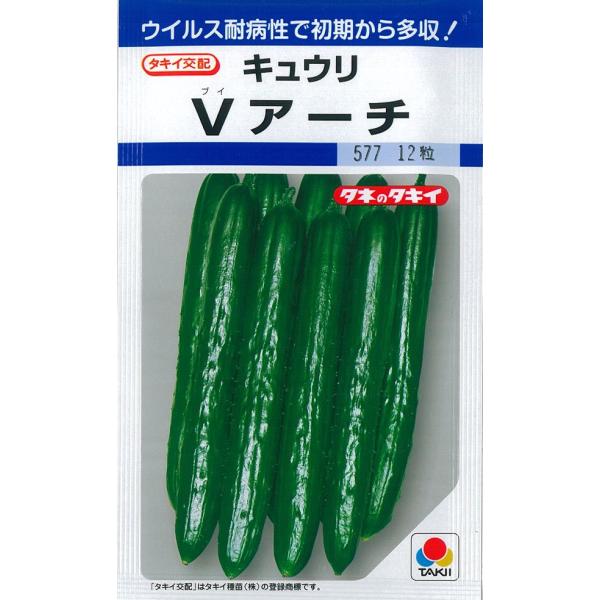 タキイ種苗 キュウリ 種 Vアーチ DF（小袋）