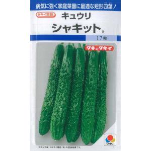 タキイ種苗 キュウリ 種 シャキット DF（小袋）