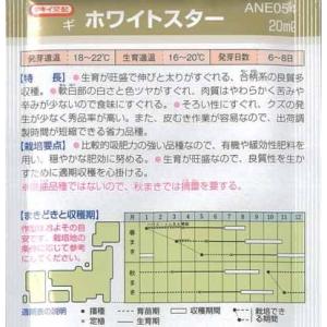 タキイ種苗 ネギ 種 ホワイトスター DF(小袋)の詳細画像1
