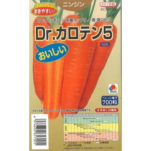 ニンジン】ちはま人参【横浜植木】コート種子（200粒）野菜種[春まき