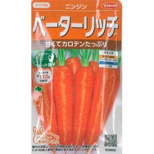 ニンジンの種 アロマレッド 4ml 品番2595 種子 たね : 園芸商人 - 通販