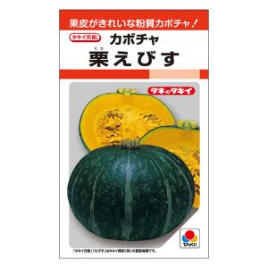 トーホク かぼちゃ種 ミニかぼちゃ ぼくちゃん : イケダグリーン