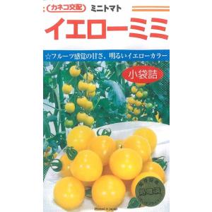 カネコ種苗 ミニトマト 種 イエローミミトマト 小袋