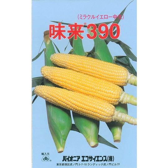 とうもろこし 種 味来390 約180粒