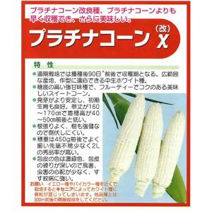 清水種苗 とうもろこし 種 プラチナコーンχ(...の詳細画像2