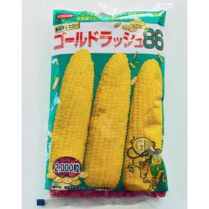 トウモロコシ 種 ゴールドラッシュ 86 00粒 サカタのタネ Mettleprojects Com Au
