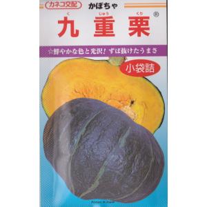 カネコ種苗 カボチャ 種 九重栗 小袋