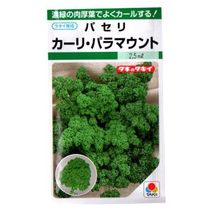パセリの種 パセリーモスカールド 5ml 品番2060 種子 たね : 日本農業