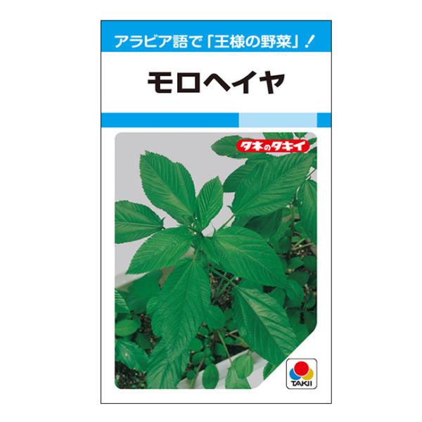 タキイ種苗 モロヘイヤ MF(小袋）