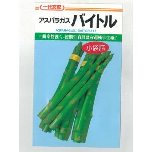 ハーブ種 アップルミント 0.1ml : イケダグリーンセンターヤフー店