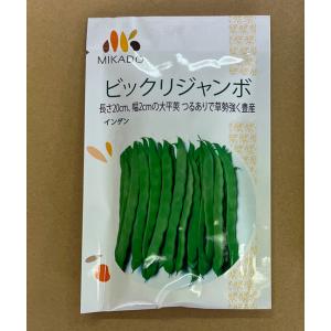 ヴィルモランみかど ビックリジャンボインゲン 小袋
