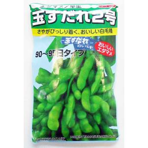 日本農林社 枝豆 種 玉すだれ2号枝豆 1ｄｌ