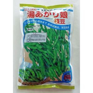 エダマメ  種　湯あがり娘 枝豆　2000粒 カネコ種苗