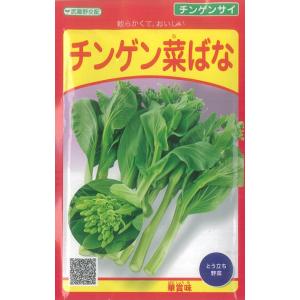チンゲン菜はな 種 華賞味 4ｍｌ 武蔵野種苗園