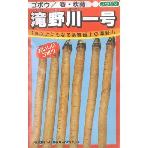 日本農林社 ゴボウ 滝野川一号牛蒡 20ｍｌ