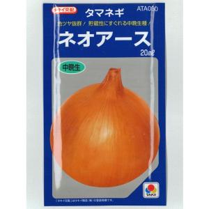 タキイ種苗 タマネギ 種 ネオアース 20ｍｌ