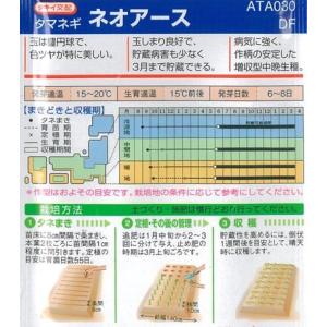 タキイ種苗 タマネギ 種 ネオアース 20mlの詳細画像1