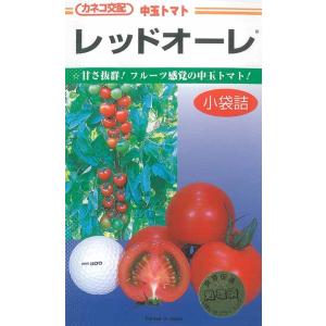 カネコ種苗 中玉トマト種 レッドオーレ 100粒