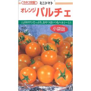 トマト イエローミミ 種・小袋 （0.1ml） F1（一代交配種） 爆買いweek