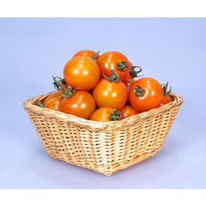 カネコ種苗 ミニトマト 種 オレンジパルチェ 1000粒