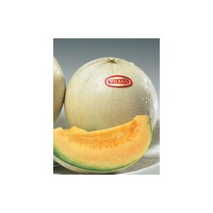 野菜種 メロン プリンスpf 100粒 サカタのタネ Mettleprojects Com Au