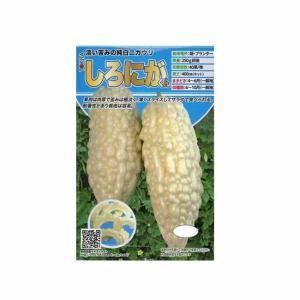 新生活 白ゴーヤ 種 しろにがくん 100粒 トキタ種苗
