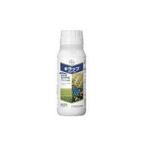 殺虫剤 キラップフロアブル 500ml Indicare Co In