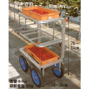 ハラックス 愛菜号 いちご収穫用ワゴン SW-312