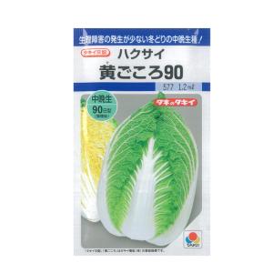 タキイ種苗 ハクサイ 種 黄ごころ90 ペレット5000粒