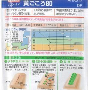 タキイ種苗 ハクサイ 種 黄ごころ90 ペレッ...の詳細画像1