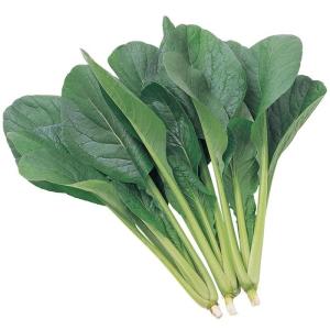 コマツナ 種 はまつづき 2dl サカタのタネ Mettleprojects Com Au