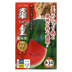 ナント種苗 スイカ 種 羅皇(らおう）200粒