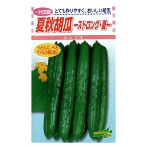 イケダグリーンセンターヤフー店 キュウリ 野菜種 Yahoo ショッピング