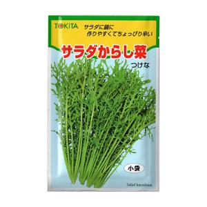 カラシナ 種の商品一覧 通販 Yahoo ショッピング