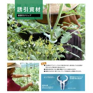 シーム くきたっちアルファF (太紐・麻紐用)...の詳細画像3