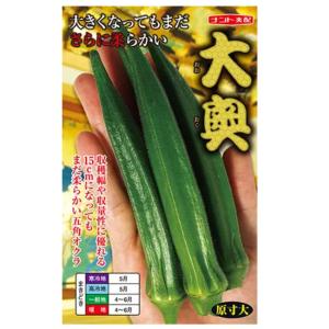 野菜の種/種子 ベニー・オクラ おくら 115粒（メール便発送）タキイ