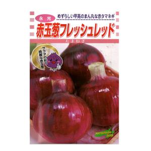 松永種苗 赤タマネギ 種 フレッシュレッド 小袋