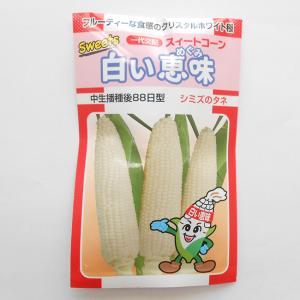 清水種苗 とうもろこし 種 白い恵味 小袋の商品画像