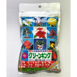 マルタ小泉商事 有機肥料 グリーンキング 5kg : イケダグリーン