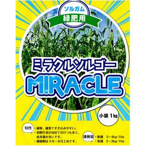 緑肥 ソルガム(ソルゴー) ミラクルソルゴー ...の詳細画像2