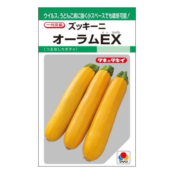 タキイ種苗 ズッキーニ 種 オーラムEX GF(小袋）
