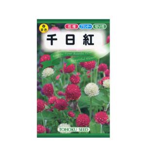 トーホク 花の種 千日紅