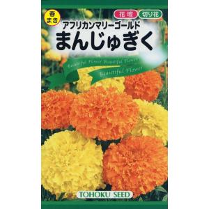 トーホク 花の種 アフリカンマリーゴールド まんじゅぎく