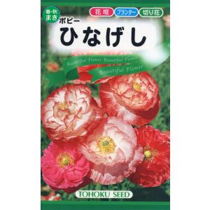 トーホク 花の種 ひなげし