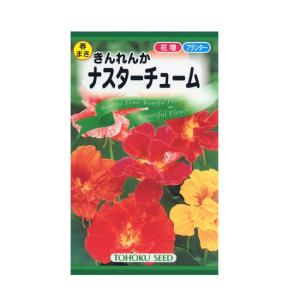 トーホク 花の種 ナスタチューム