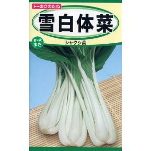 トーホク シャクシ菜 種 雪白体菜