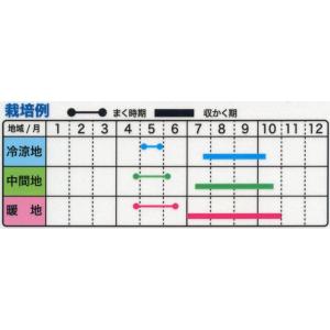 トーホク 野菜種 つるむらさき(青茎)の詳細画像1